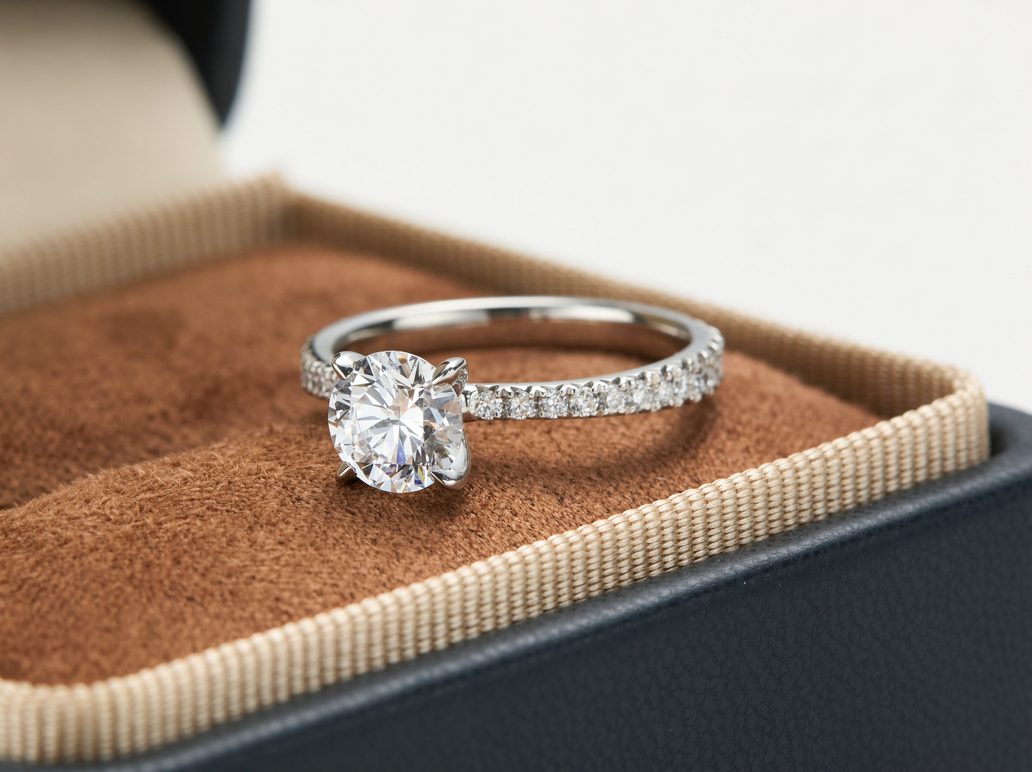 Round Brilliant Cut Diamond丨Solitaire Pavé Band Setting丨Platinum Ring